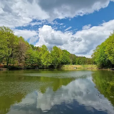 Harmonia Vendeghaz Konukevi Németbánya